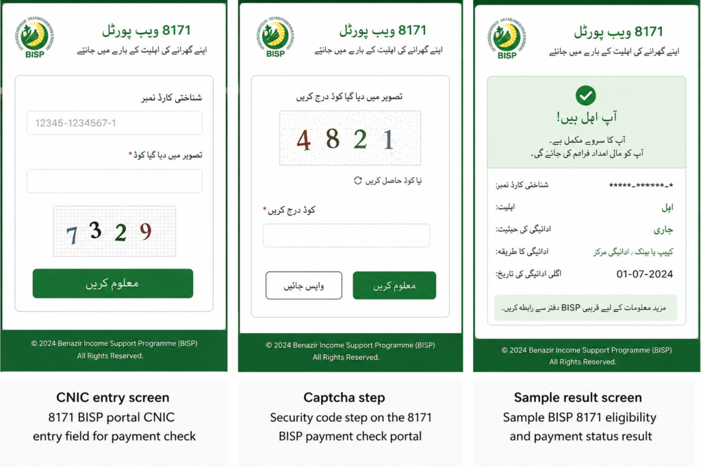 8171 BISP portal CNIC entry field for payment check