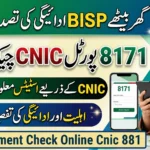 BISP Payment Check by CNIC 8171 Online 2026