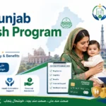 CM Punjab Aghosh Program 2026