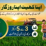 CM Punjab Apna Khet Apna Rozgar Scheme 2026