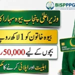 CM Punjab Bewa Sahara Card 2026