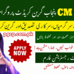 CM Punjab Green Credit Program 2026