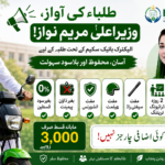 Maryam Nawaz Electric Bike Scheme 2026